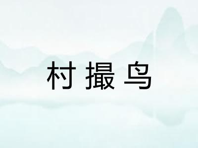 村撮鸟