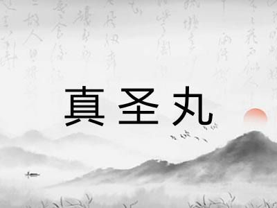 真圣丸