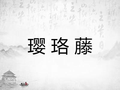 璎珞藤