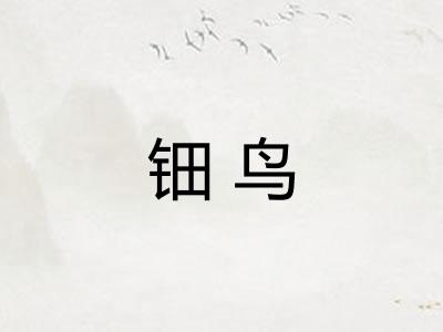 钿鸟