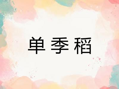 单季稻