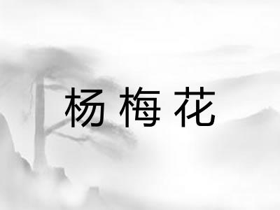 杨梅花