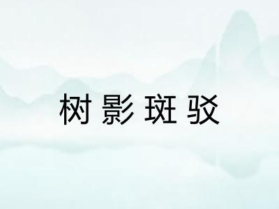 树影斑驳