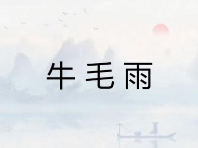 牛毛雨