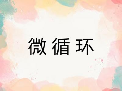 微循环
