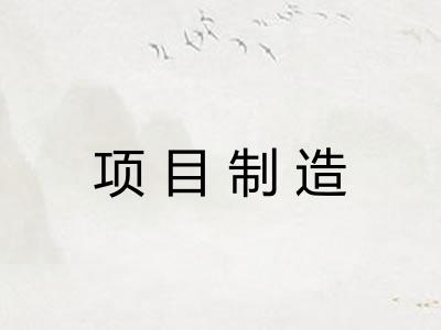 项目制造