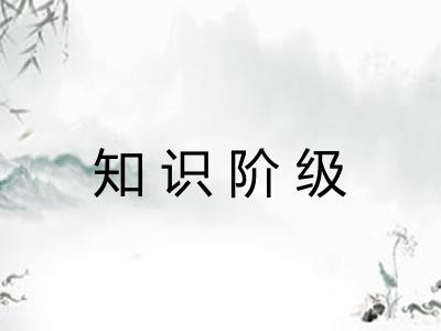 知识阶级