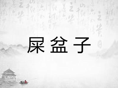 屎盆子