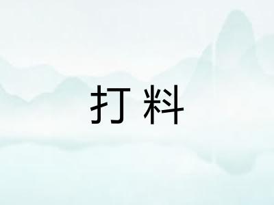 打料