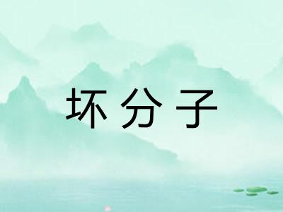 坏分子