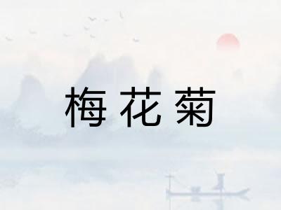 梅花菊