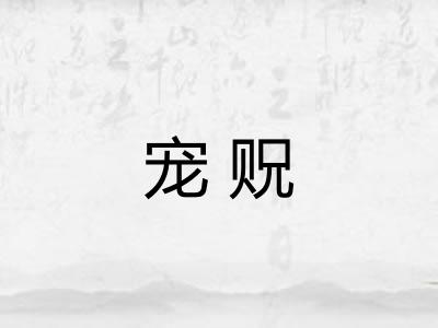 宠贶