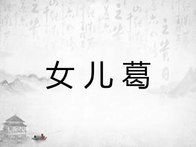 女儿葛