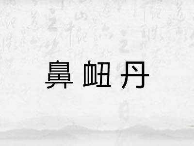 鼻衄丹