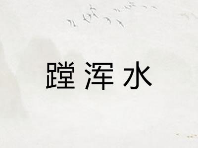 蹚浑水