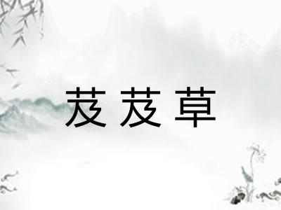 芨芨草