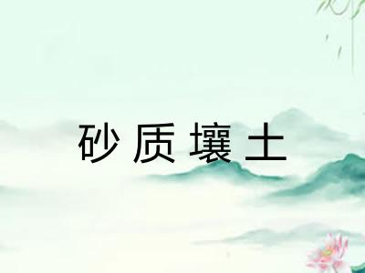 砂质壤土