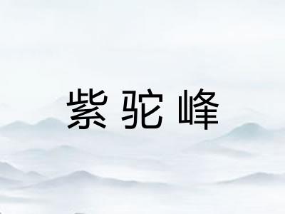 紫驼峰