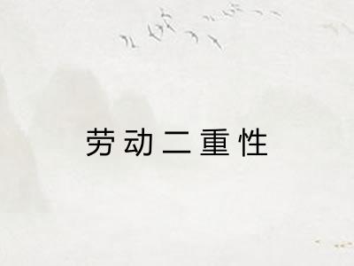 劳动二重性