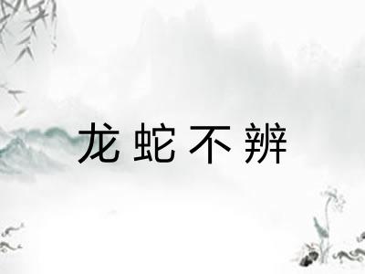 龙蛇不辨