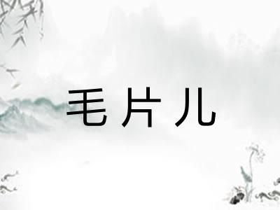 毛片儿