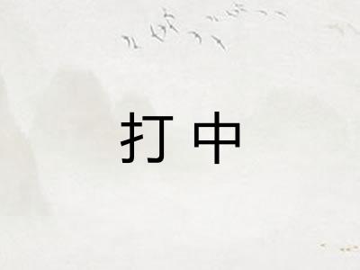 打中