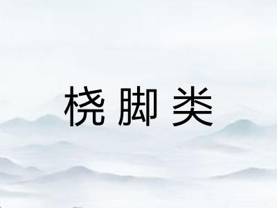 桡脚类