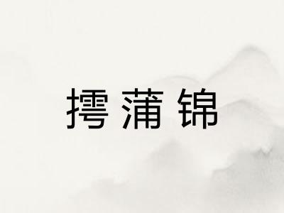 摴蒲锦