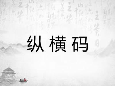 纵横码
