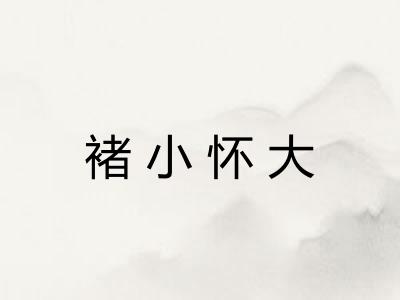 褚小怀大