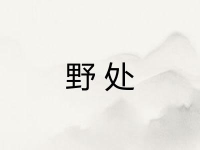 野处