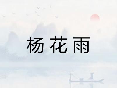 杨花雨