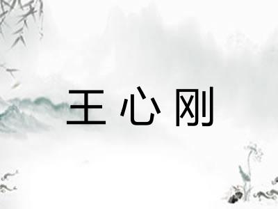 王心刚
