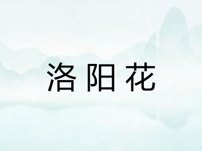 洛阳花