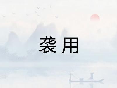 袭用