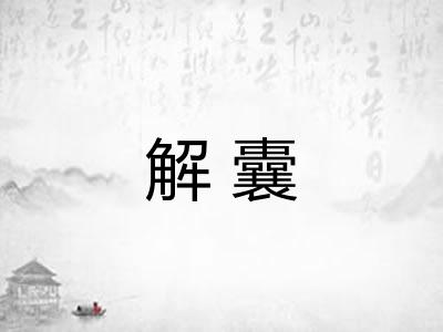 解囊
