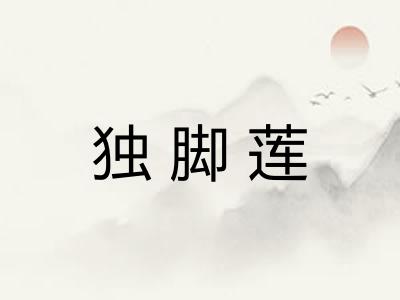 独脚莲