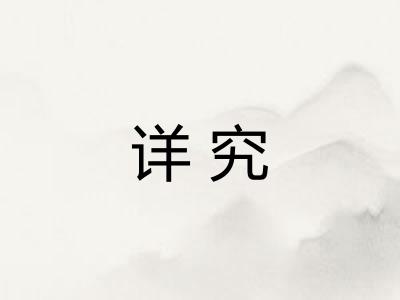 详究