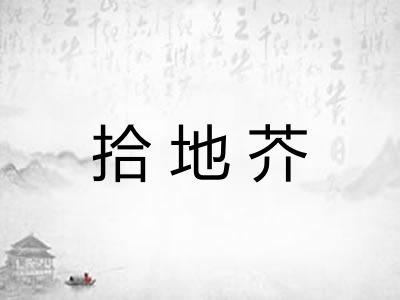 拾地芥