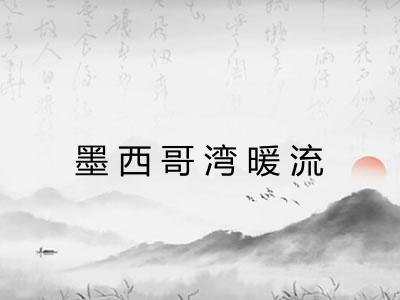 墨西哥湾暖流