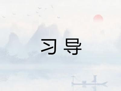 习导