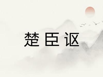 楚臣讴