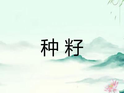 种籽