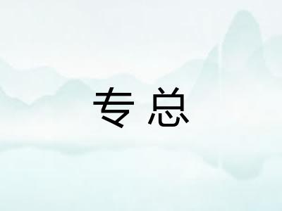 专总