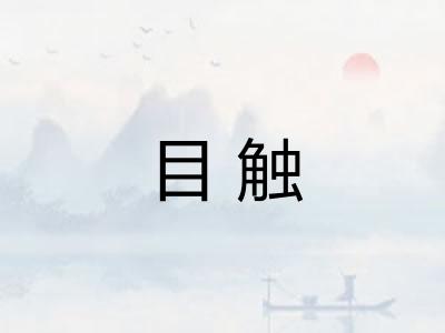 目触