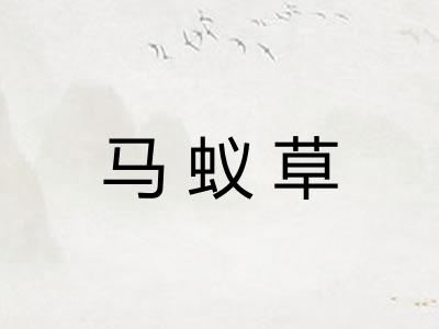 马蚁草