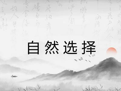 自然选择