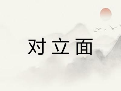 对立面