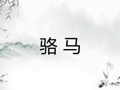 骆马