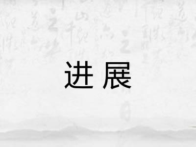 进展